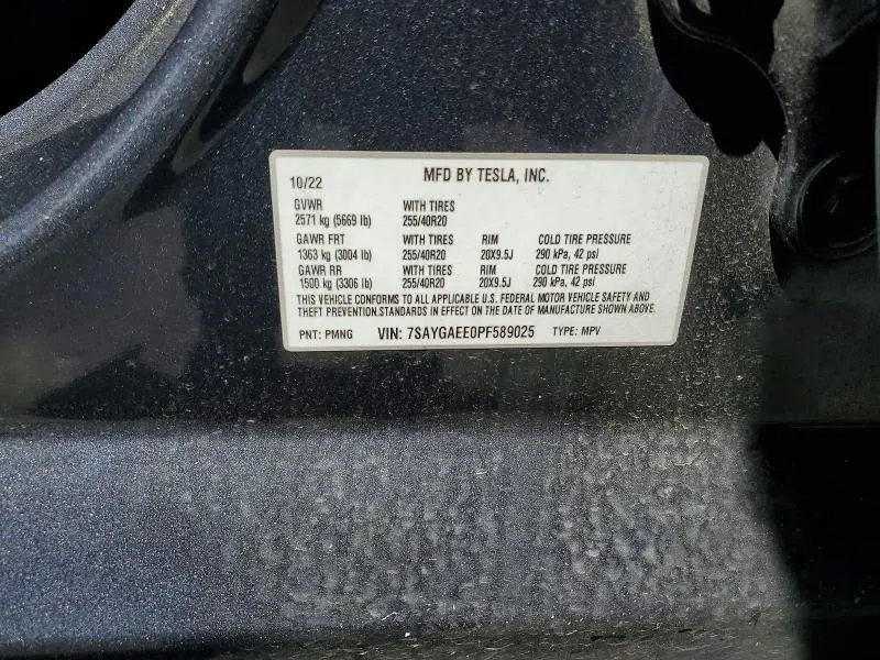 2023 TESLA MODEL Y   