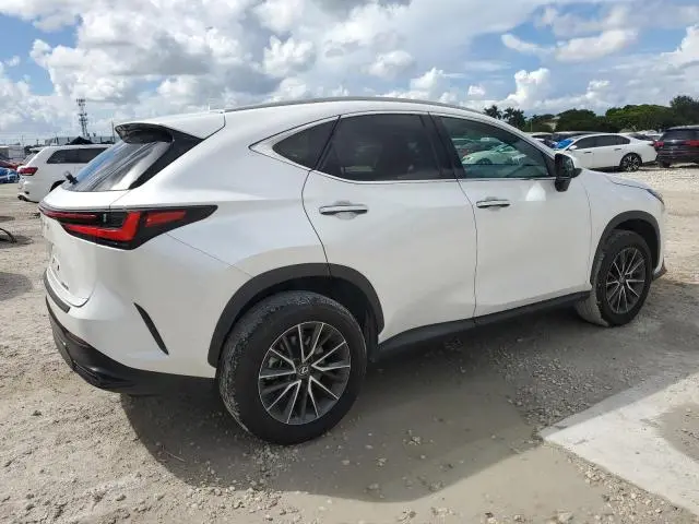 2024 LEXUS NX 250 BASE  