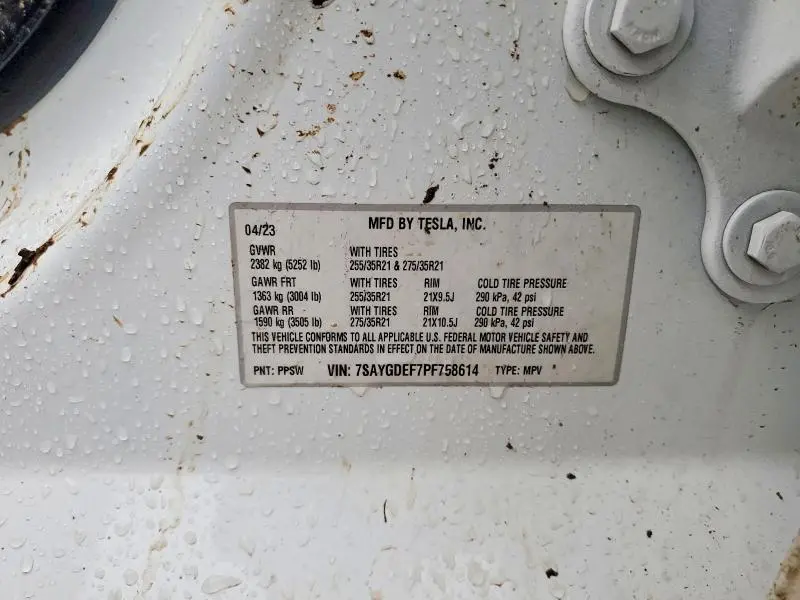 2023 TESLA MODEL Y   