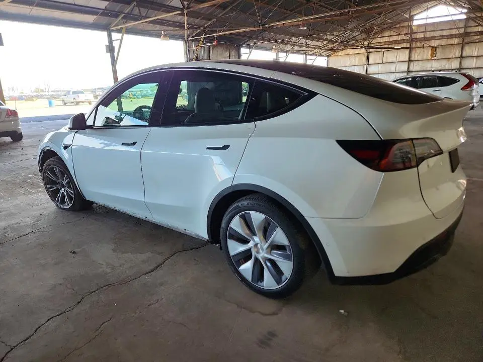 2020 TESLA MODEL Y   