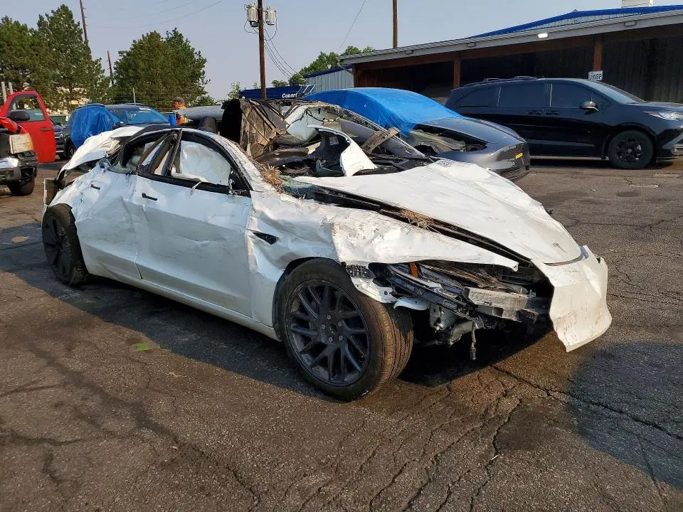 2025 TESLA MODEL 3   
