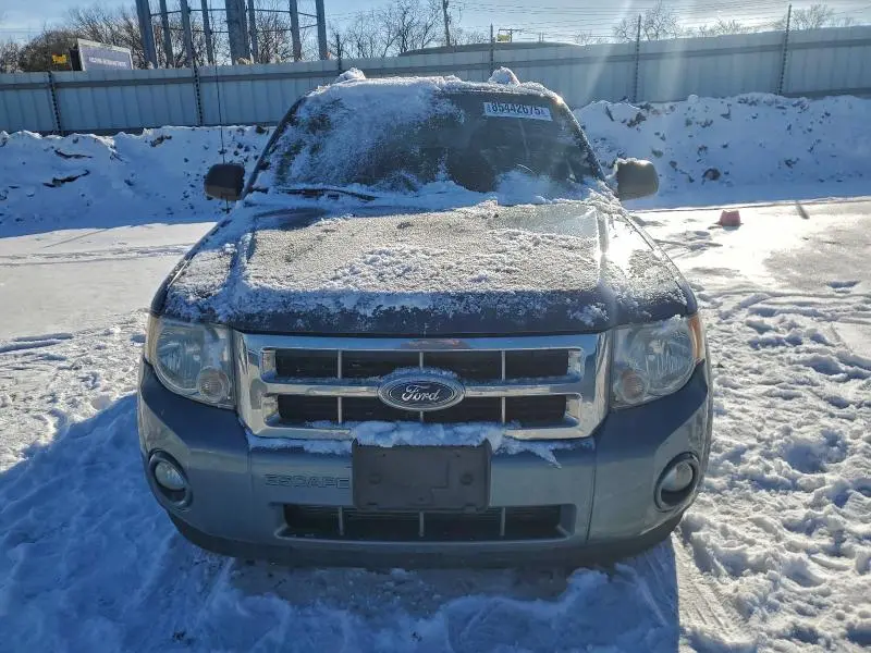 2010 FORD ESCAPE XLT  