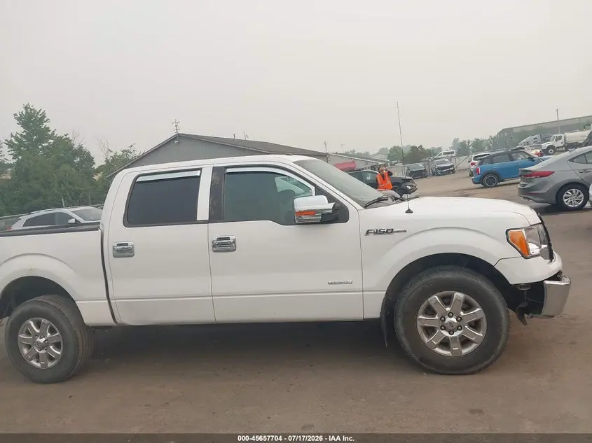 2014 FORD F-150 XLT