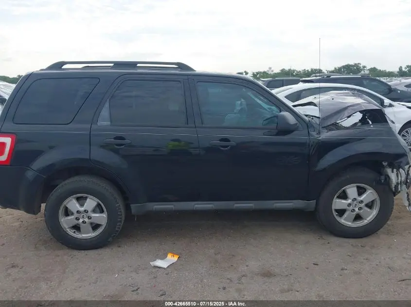 2010 FORD ESCAPE XLT