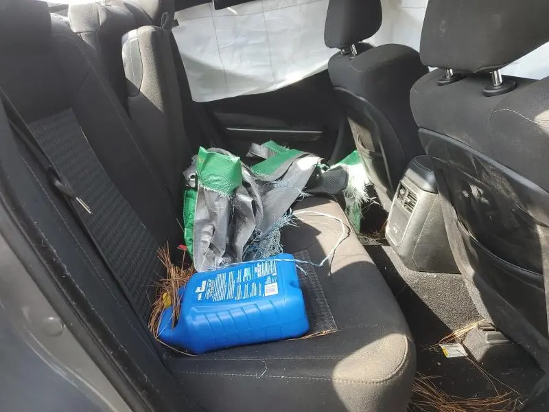 2019 DODGE CHARGER GT  