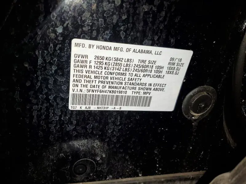 2019 HONDA PILOT EXL  