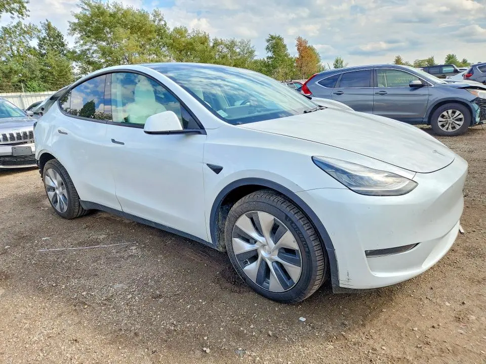 2020 TESLA MODEL Y   