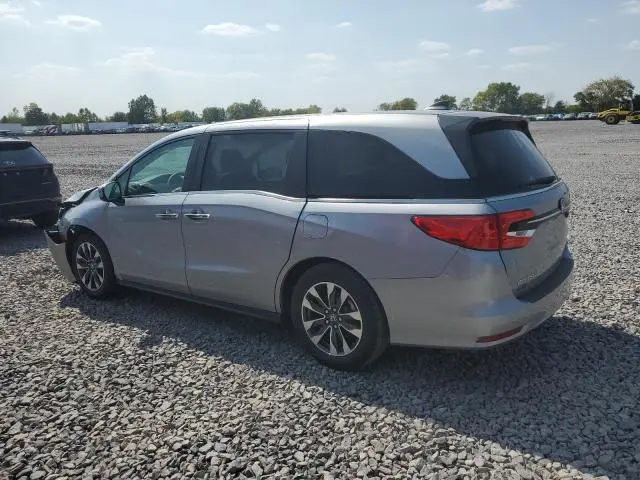 2024 HONDA ODYSSEY EXL  