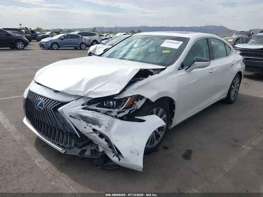 2019 LEXUS ES 300H  