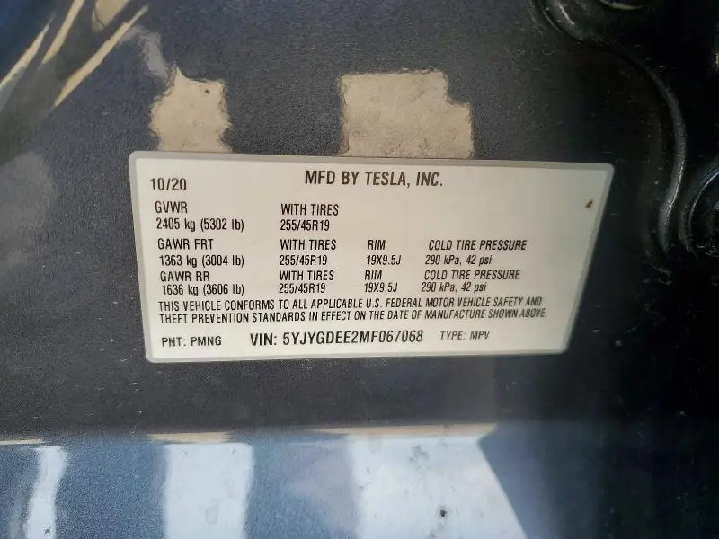 2021 TESLA MODEL Y   