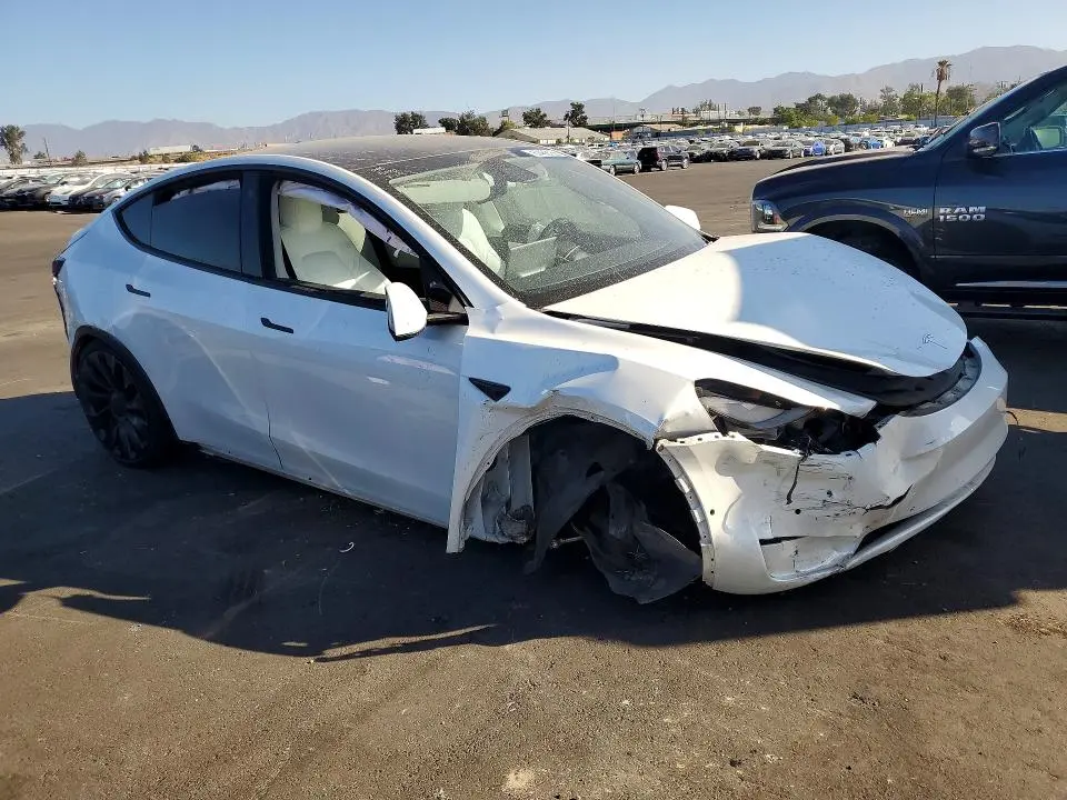 2021 TESLA MODEL Y   