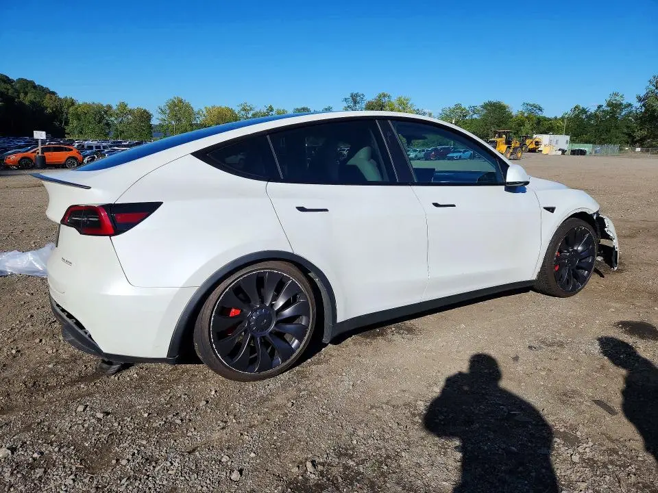 2023 TESLA MODEL Y   