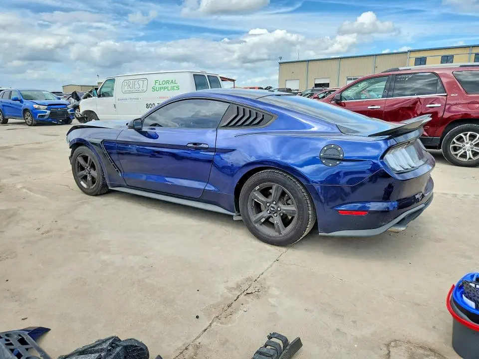 2019 FORD MUSTANG   