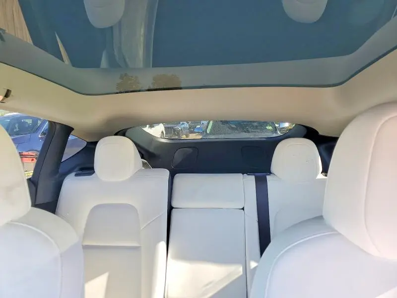 2025 TESLA MODEL Y   
