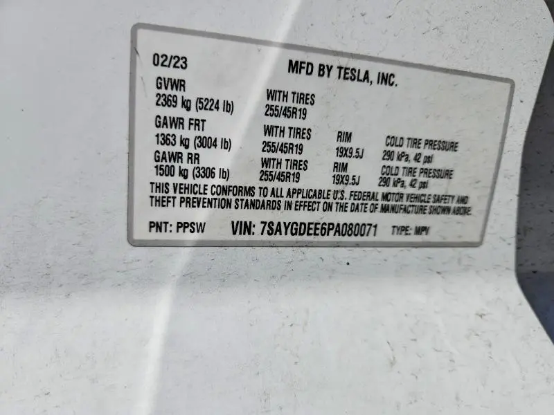2023 TESLA MODEL Y   