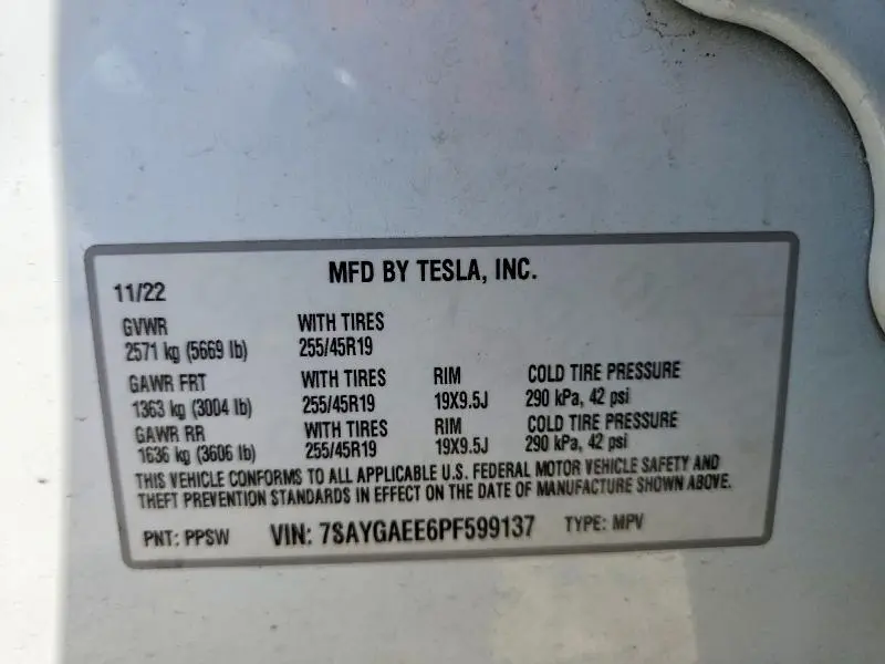 2023 TESLA MODEL Y   