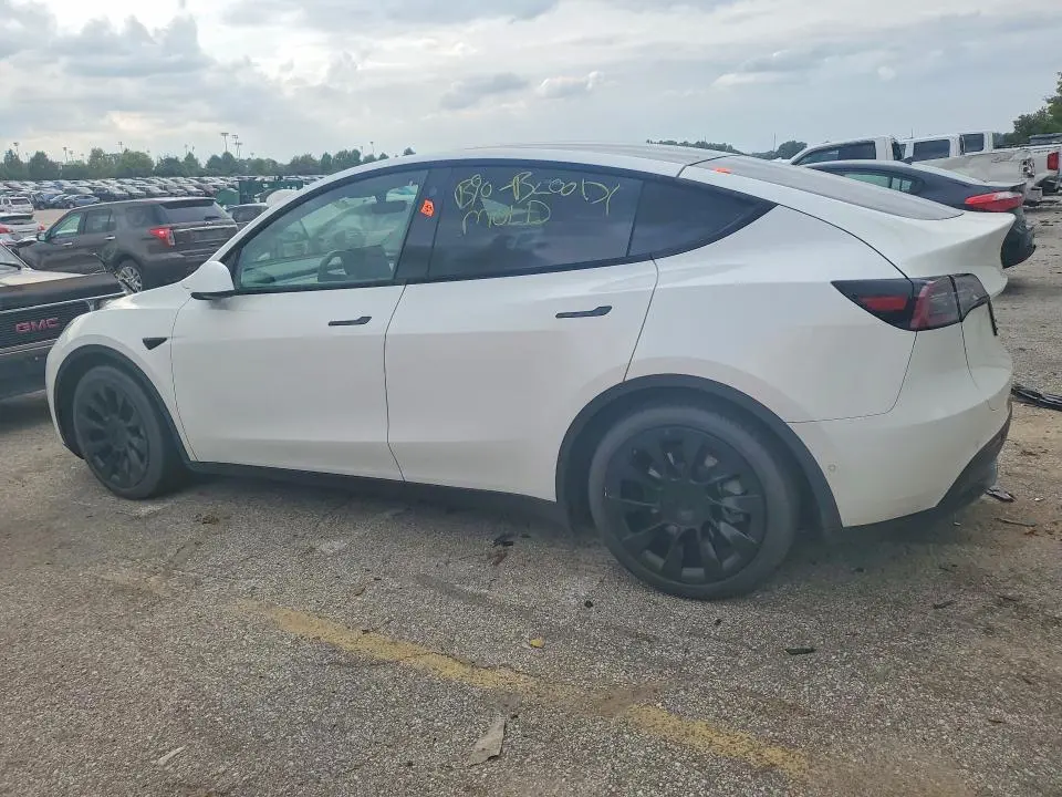 2021 TESLA MODEL Y   