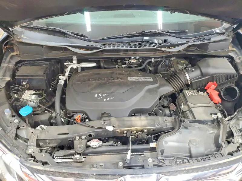 2019 HONDA ODYSSEY   