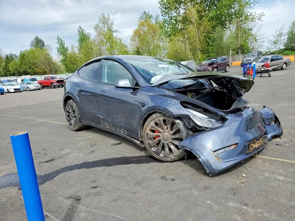 2022 TESLA MODEL Y   