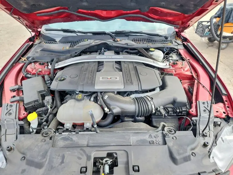 2019 FORD MUSTANG GT  