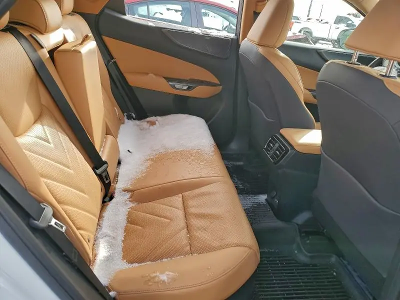 2025 LEXUS NX 450H LUXURY  