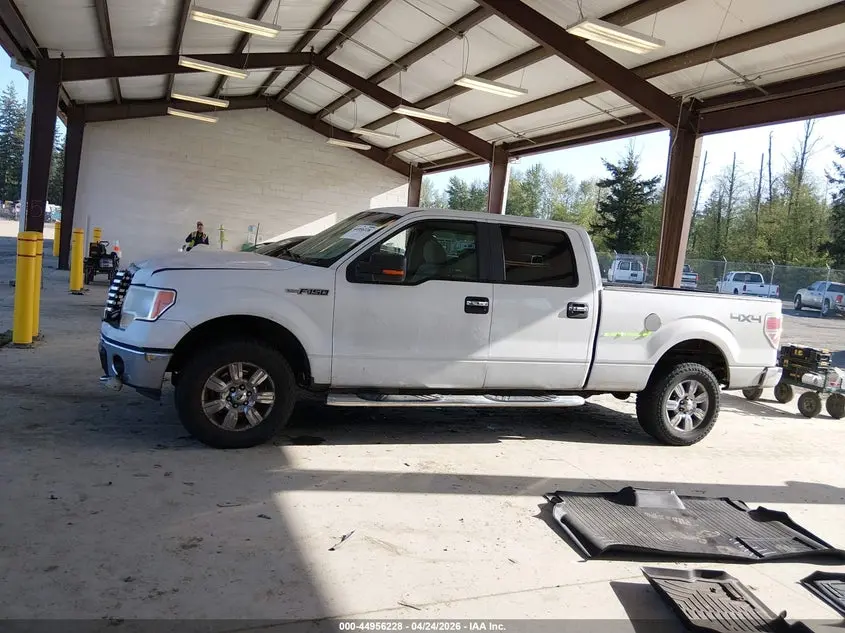 2010 FORD F-150 FX4/HARLEY-DAVIDSON/KING RANCH/LARIAT/PLATINUM/XL/XLT
