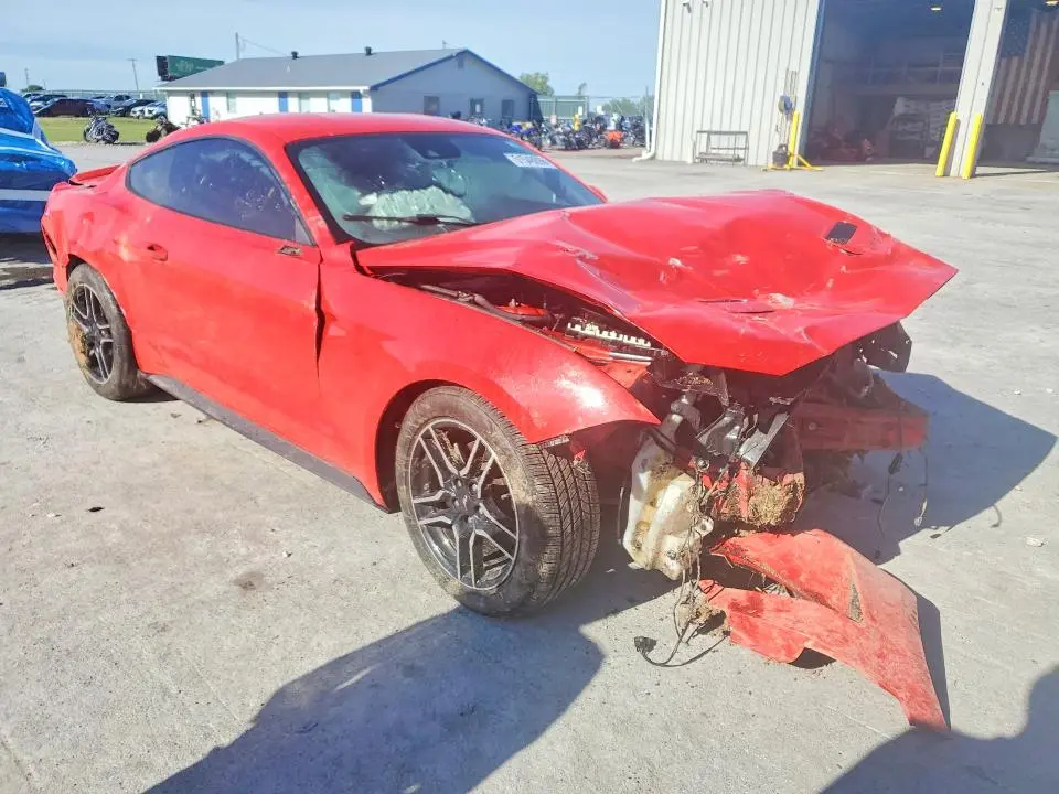 2019 FORD MUSTANG   