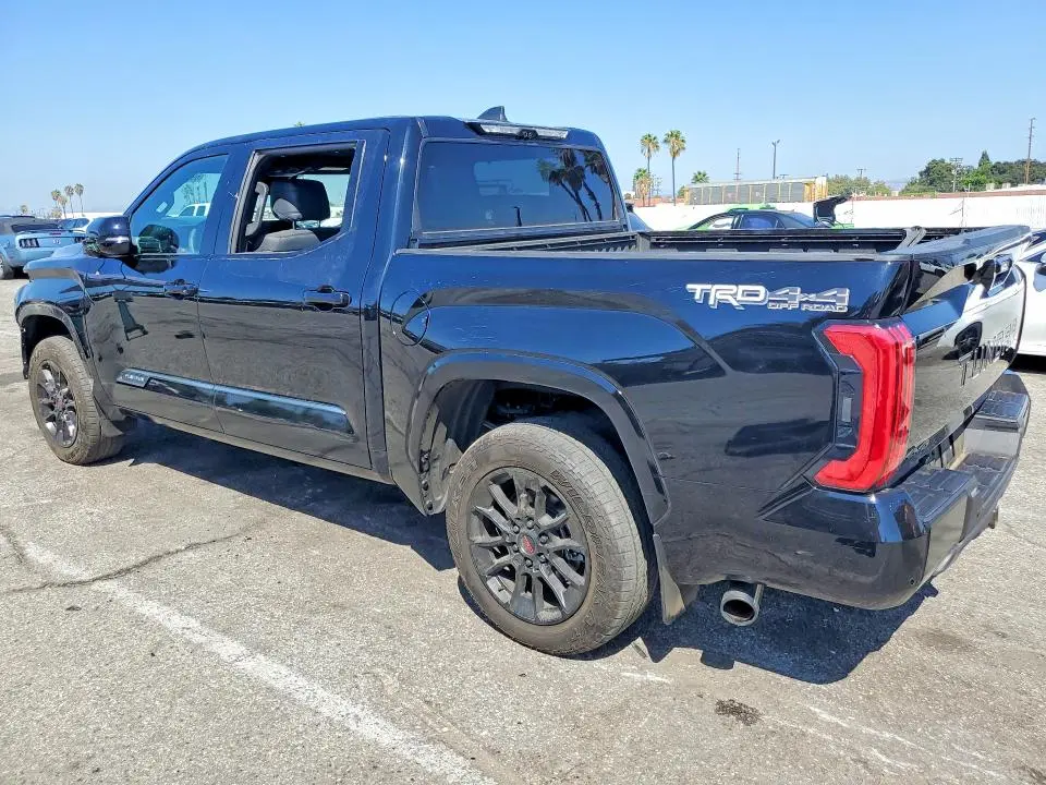2025 TOYOTA TUNDRA PLATINUM  