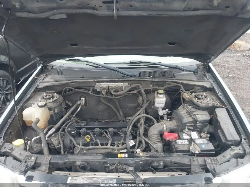 2011 FORD ESCAPE XLT