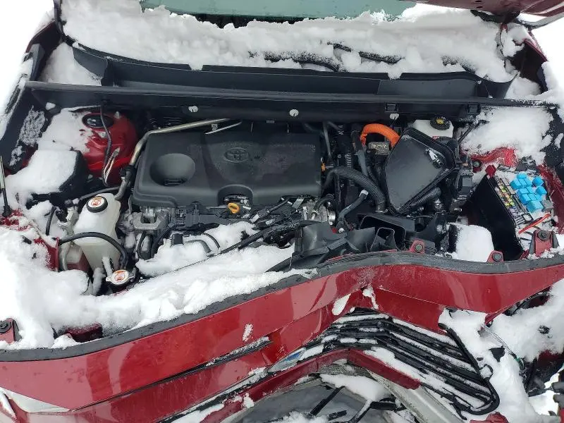 2023 TOYOTA RAV4 XLE  