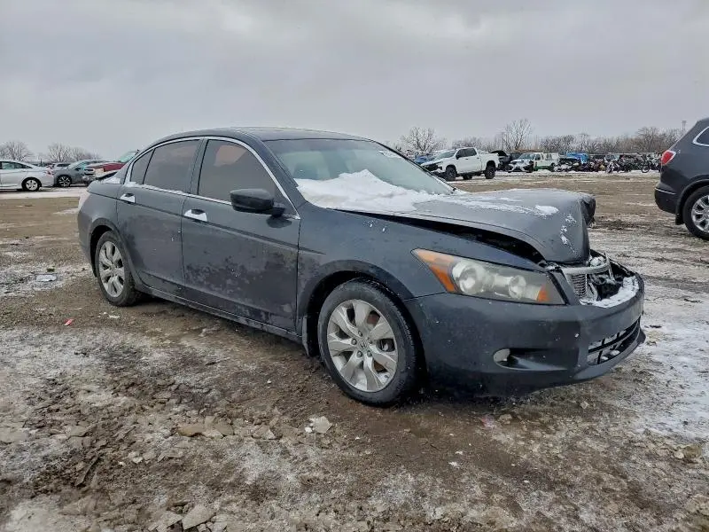 2010 HONDA ACCORD EXL  
