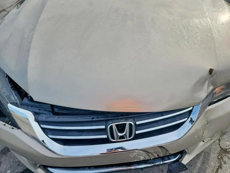 2013 HONDA ACCORD EXL  