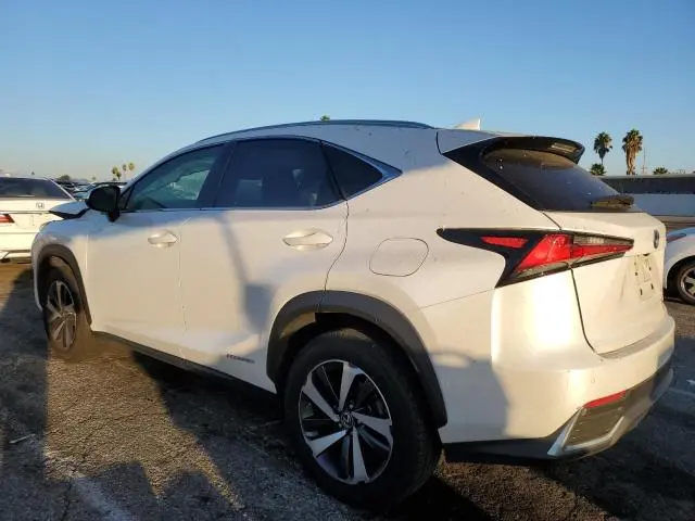 2020 LEXUS NX 300H  