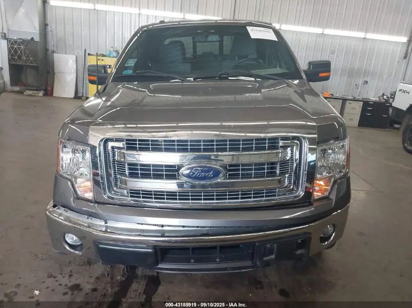 2014 FORD F-150 XLT