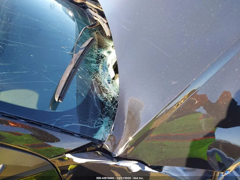 2025 HYUNDAI IONIQ 5 SE