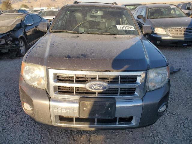 2010 FORD ESCAPE LIMITED