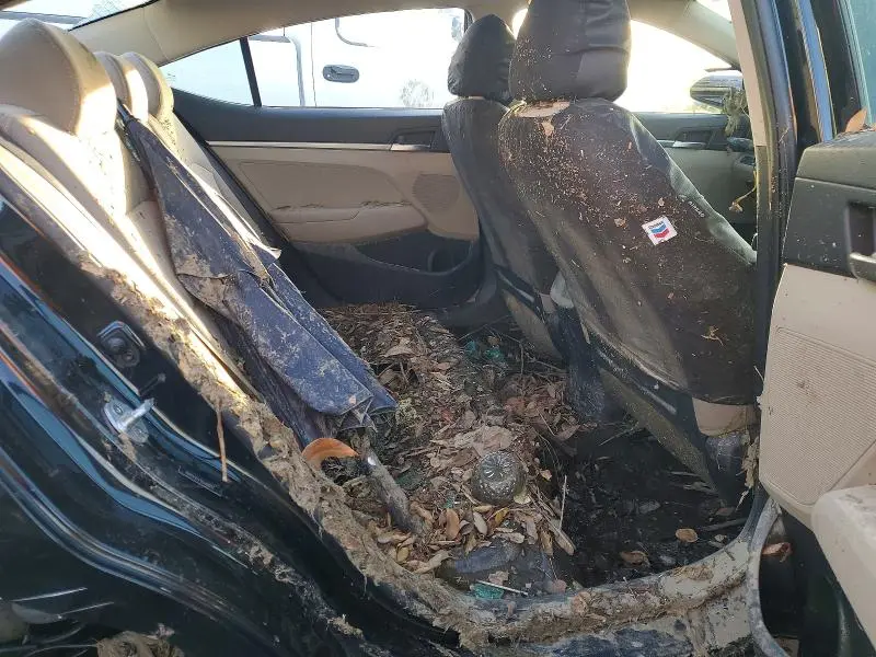 2019 HYUNDAI ELANTRA SE  