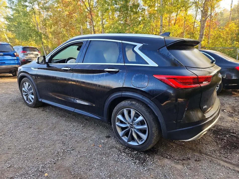 2021 INFINITI QX50 LUXE  