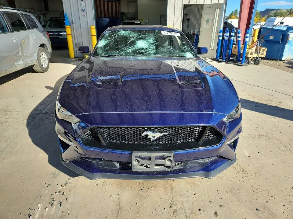2019 FORD MUSTANG GT  