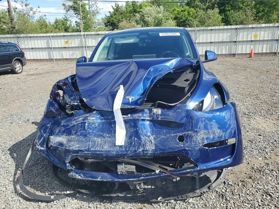 2024 TESLA MODEL Y   
