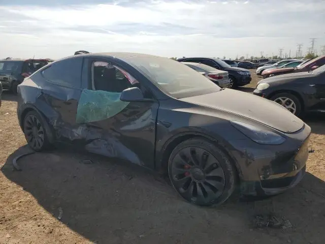 2025 TESLA MODEL Y   