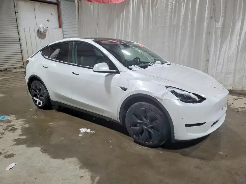 2025 TESLA MODEL Y   
