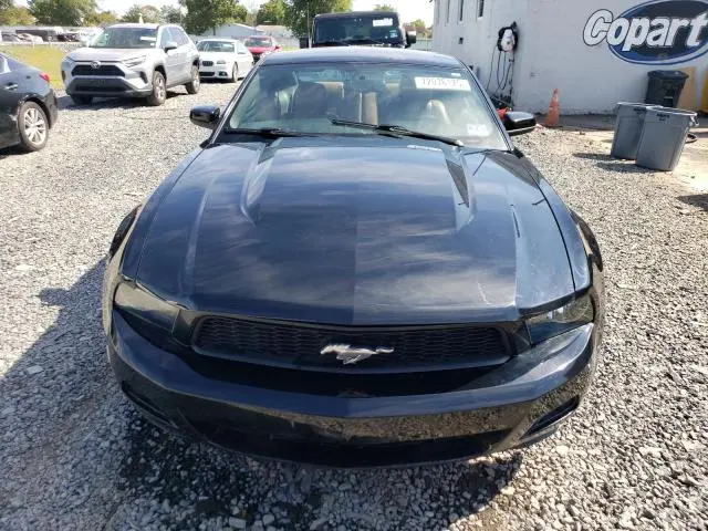 2010 FORD MUSTANG