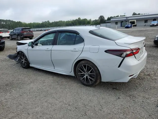 2024 TOYOTA CAMRY SE NIGHT SHADE  