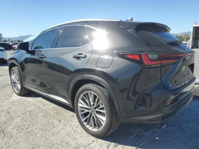 2024 LEXUS NX 350H BASE  