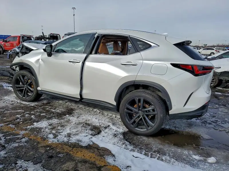 2025 LEXUS NX 450H LUXURY  