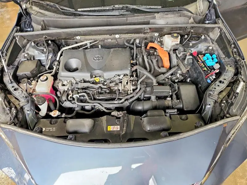 2021 TOYOTA VENZA XLE  