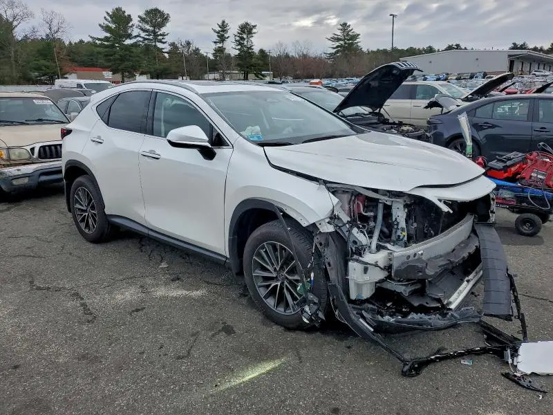 2024 LEXUS NX 350 BASE  