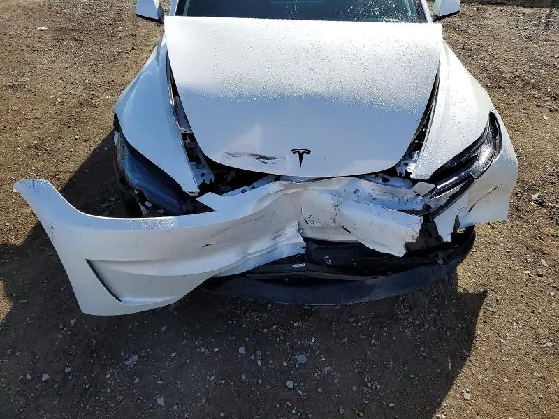 2026 TESLA MODEL 3   
