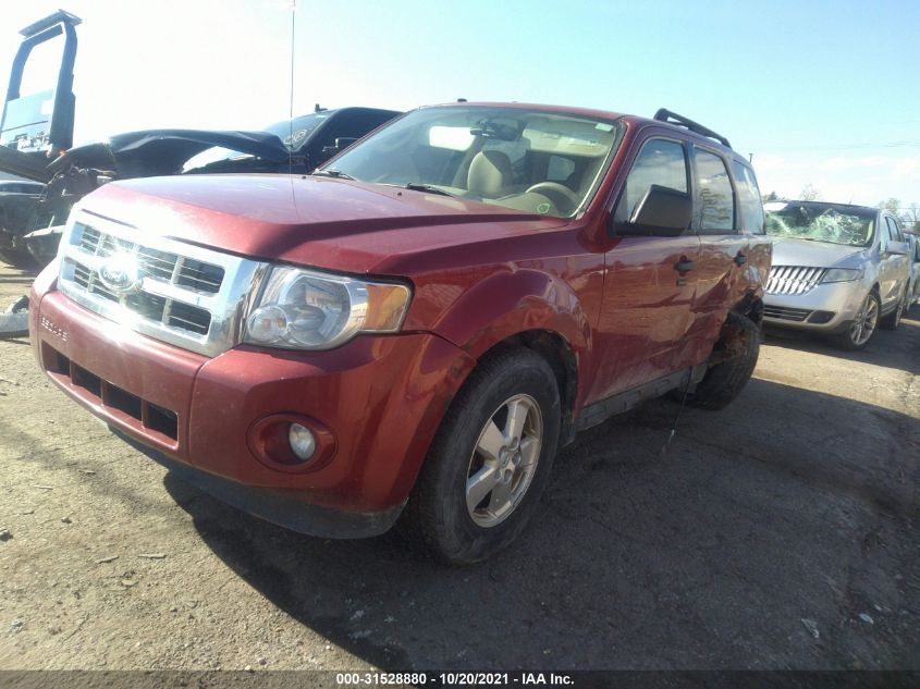 2010 FORD ESCAPE XLT